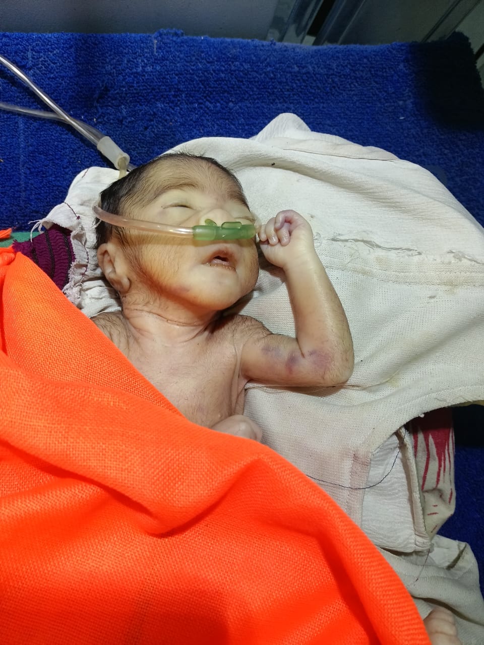 WhatsApp Image 2025-12-06 at 17.04.24