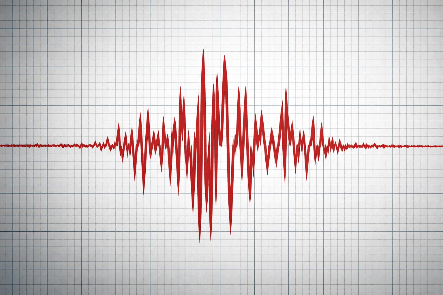 WhatsApp Image 2026-02-06 at 1.49.21 PM