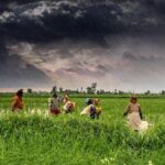 Monsooncc