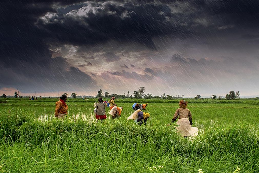Monsooncc