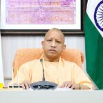 yogi