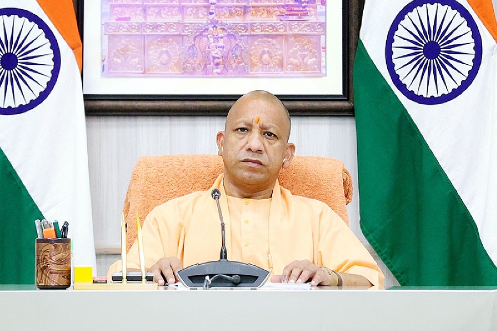 yogi
