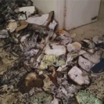 Munger-Court-Fire-Judicial-Magistrate-Office-Documents-Burnt-1785564349267