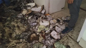 Munger-Court-Fire-Judicial-Magistrate-Office-Documents-Burnt-1785564349267