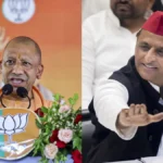 yogi-1-1786616737