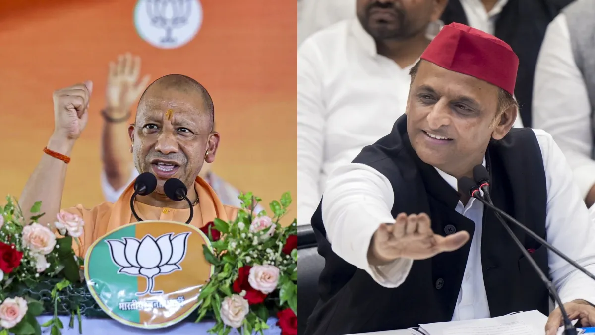 yogi-1-1786616737