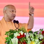 yogi-(23)-1786635065293