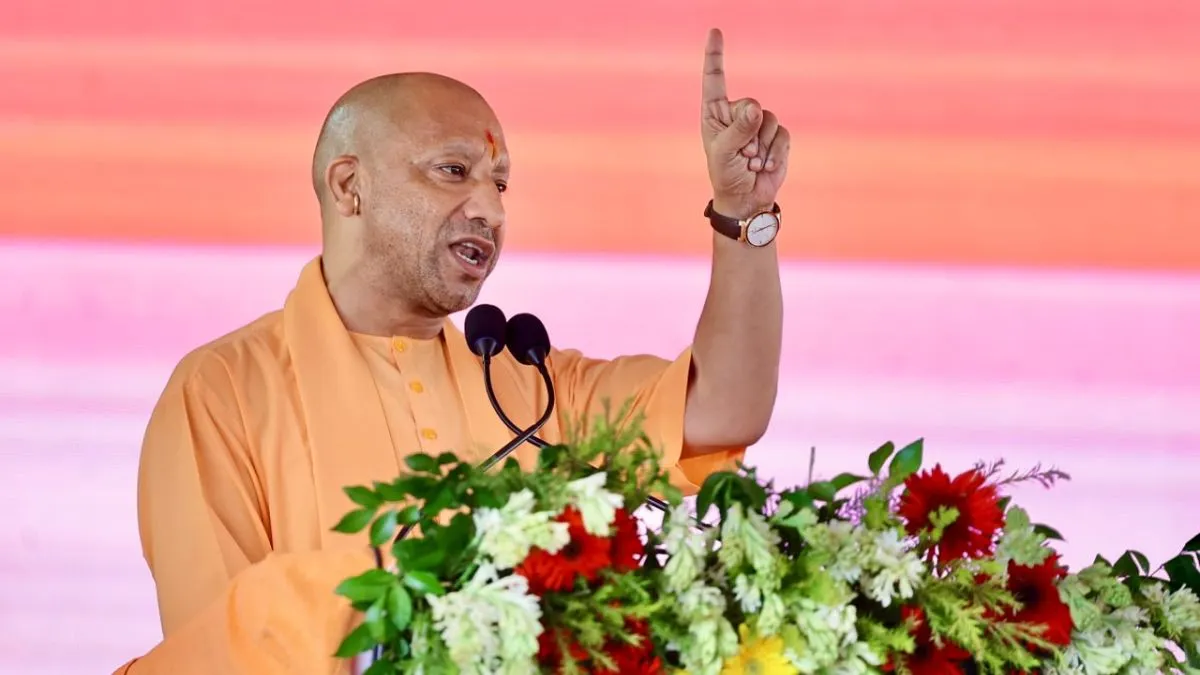 yogi-(23)-1786635065293