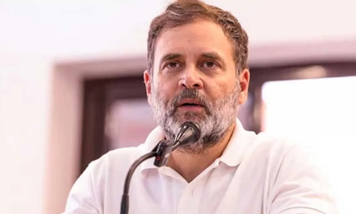 1633481-rahul-gandhi