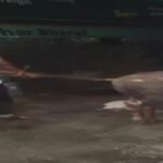 6aa6399132166-delhi-boy-beaten-to-death-after-kidnapping-135005951-16×9