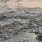 Flood