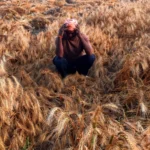 loss-of-crops