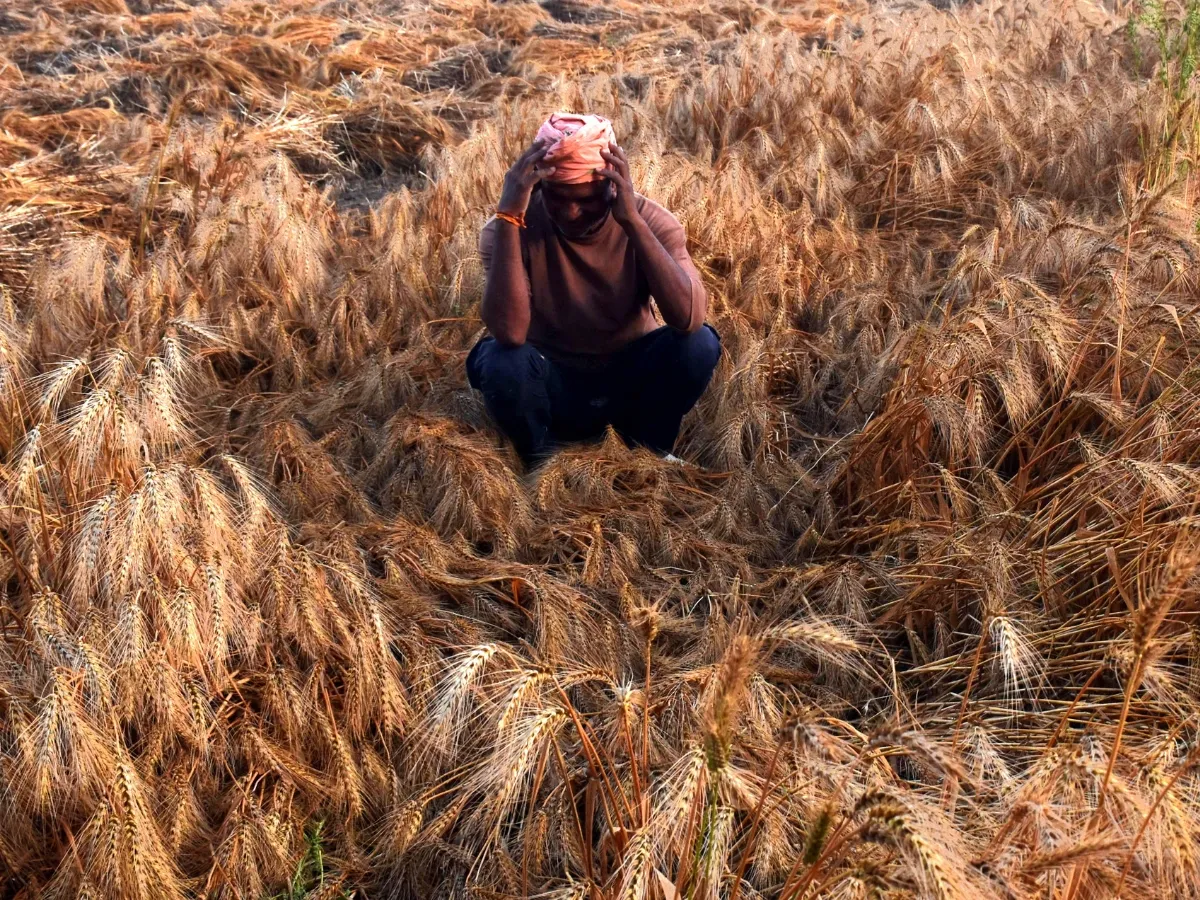 loss-of-crops