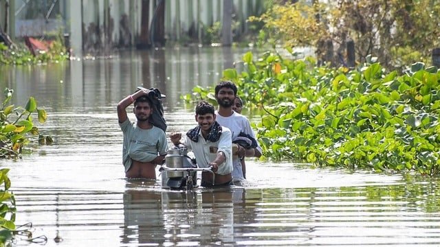 Bihar_Flood_1791356407569_4b6Q_1791356407955_nqjN_fe598e8c-b1d4-4772-a2c5-b925ea30a2d9_WFdx