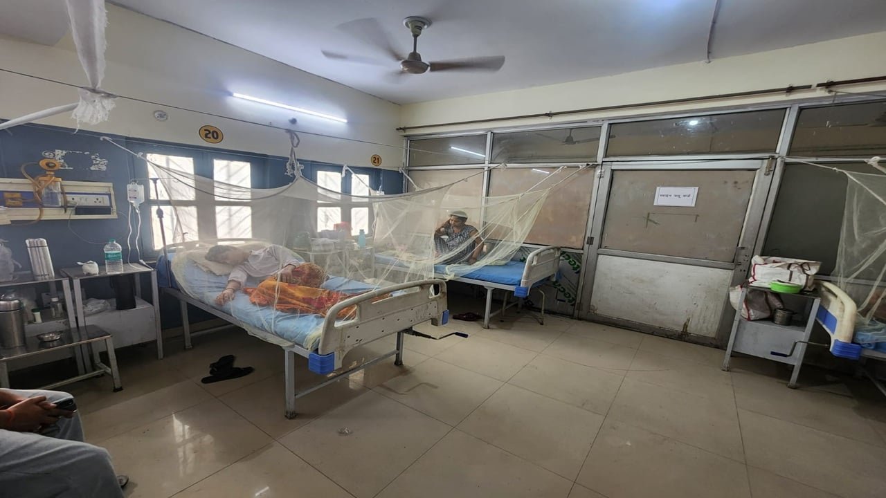 dengue_16aefc381134c1e7d26461de7b23b377